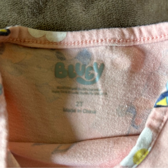 BLUEY Toddler Dress, 2T, preloved - Picture 4 of 5